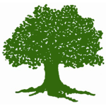 समानुपातिक सूची विवाद अदालतमा — विद्यादेवी तिमिल्सेनाको रिट संवैधानिक इजलासमा