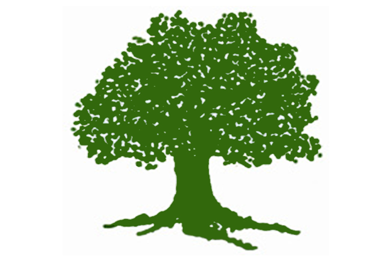 समानुपातिक सूची विवाद अदालतमा — विद्यादेवी तिमिल्सेनाको रिट संवैधानिक इजलासमा